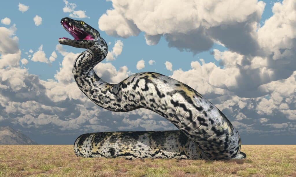Reptiles disparus : illustration de Titanoboa