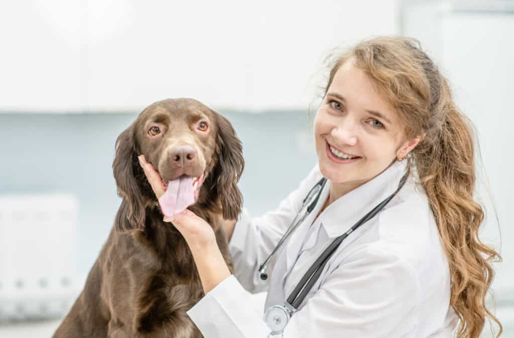 veterinarian with dog