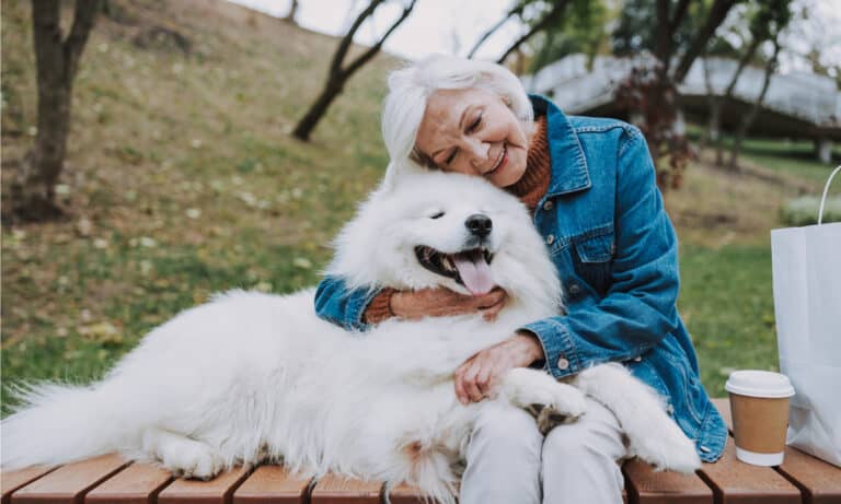 why are dogs so loyal