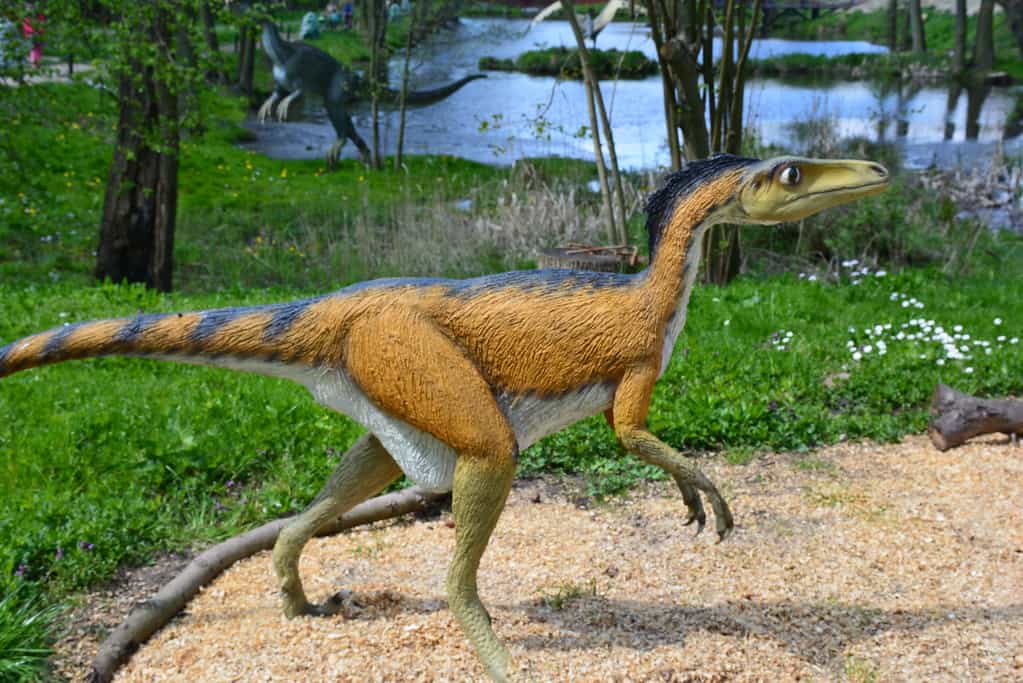 3D rendering of a troodon running through a forest