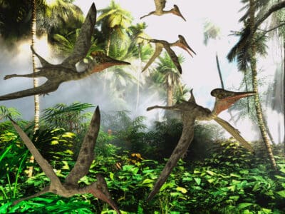 A Pterosaur vs Pterodactyl: What’s the Difference?