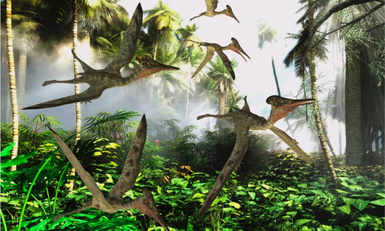 Illustration of a flock of pterodactyls flying through a forest