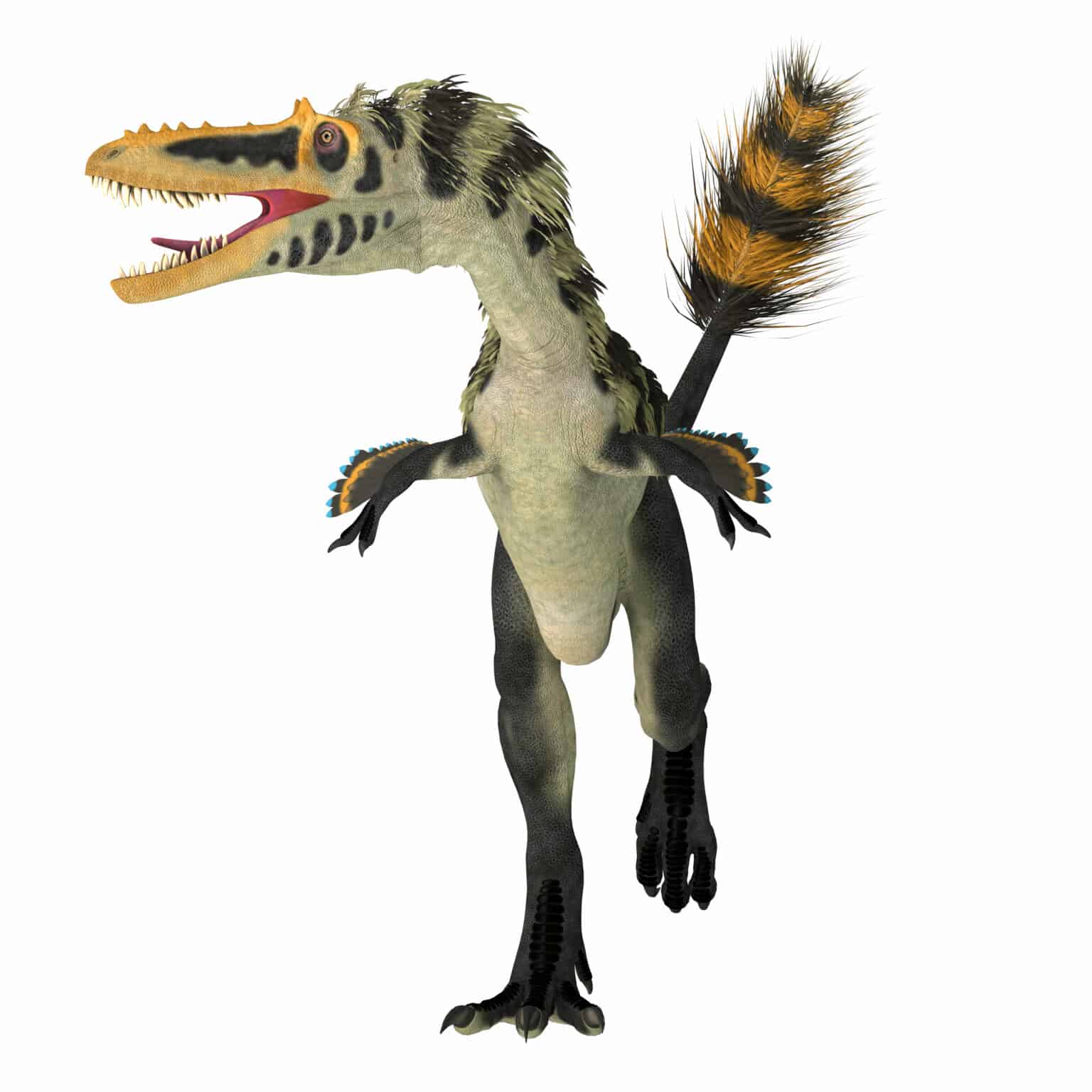 Velociraptor Animal Facts - Velociraptor mongoliensis - A-Z Animals