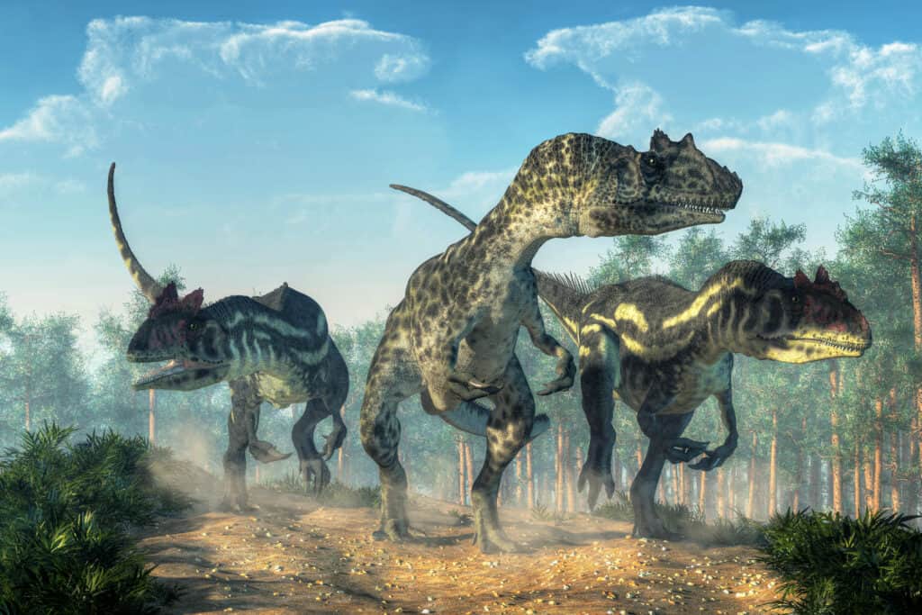 Trois Allosaurus chassant en groupe.  Les dents d'Allosaurus étaient acérées, en forme de poignard et de cinq à dix centimètres de long.