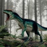 Allosaurus