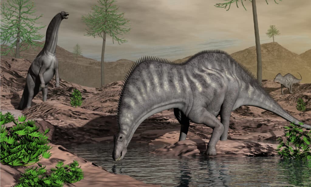 Amargasaurus had long teeth that helped it tear leaves, branches, and other vegetation from plants.