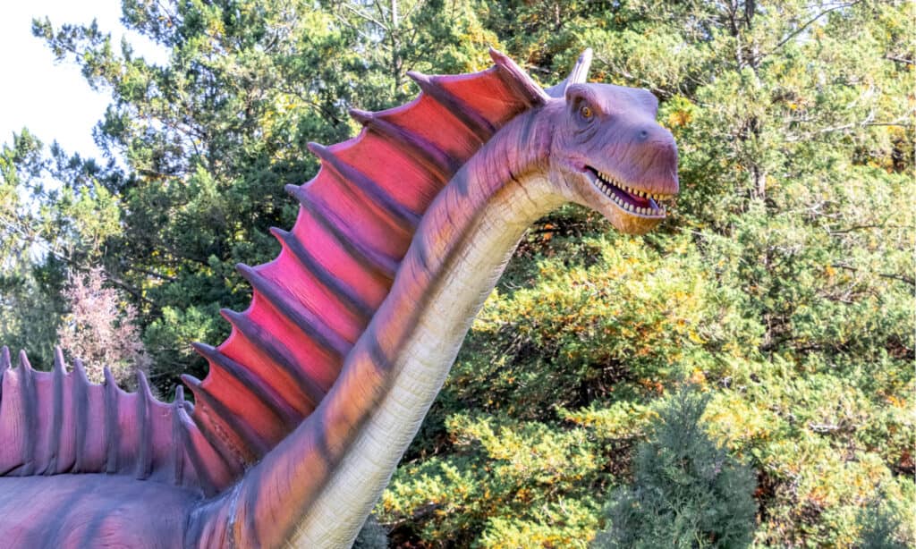 One of the most distinctive features of the Amargasaurus was the double row of bony spikes on its back.