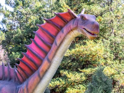 A Amargasaurus