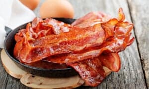 Can Dogs Eat Bacon Safely? What Are the True Risks? Picture