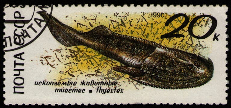 Cephalaspis