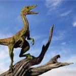 Compsognathus