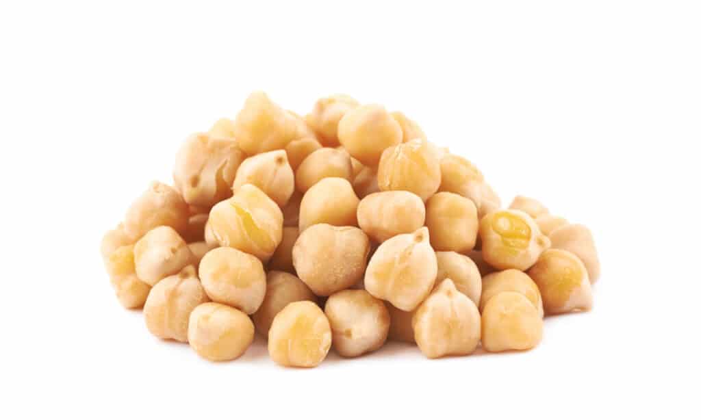 Cooked chickpeas on a white background