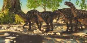 The Cretaceous Period: Major Events, Animals, and When It Lasted Picture