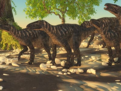 A The Cretaceous Period: Major Events, Animals, and When It Lasted