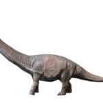 Dreadnoughtus