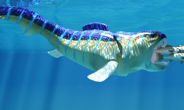3D illustration of Dunkleosteus ready to devour several fish at one time