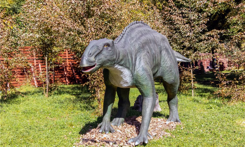 Edmontosaurus model