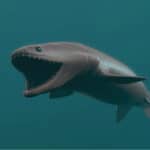 3D rendered image of Frilled Shark.