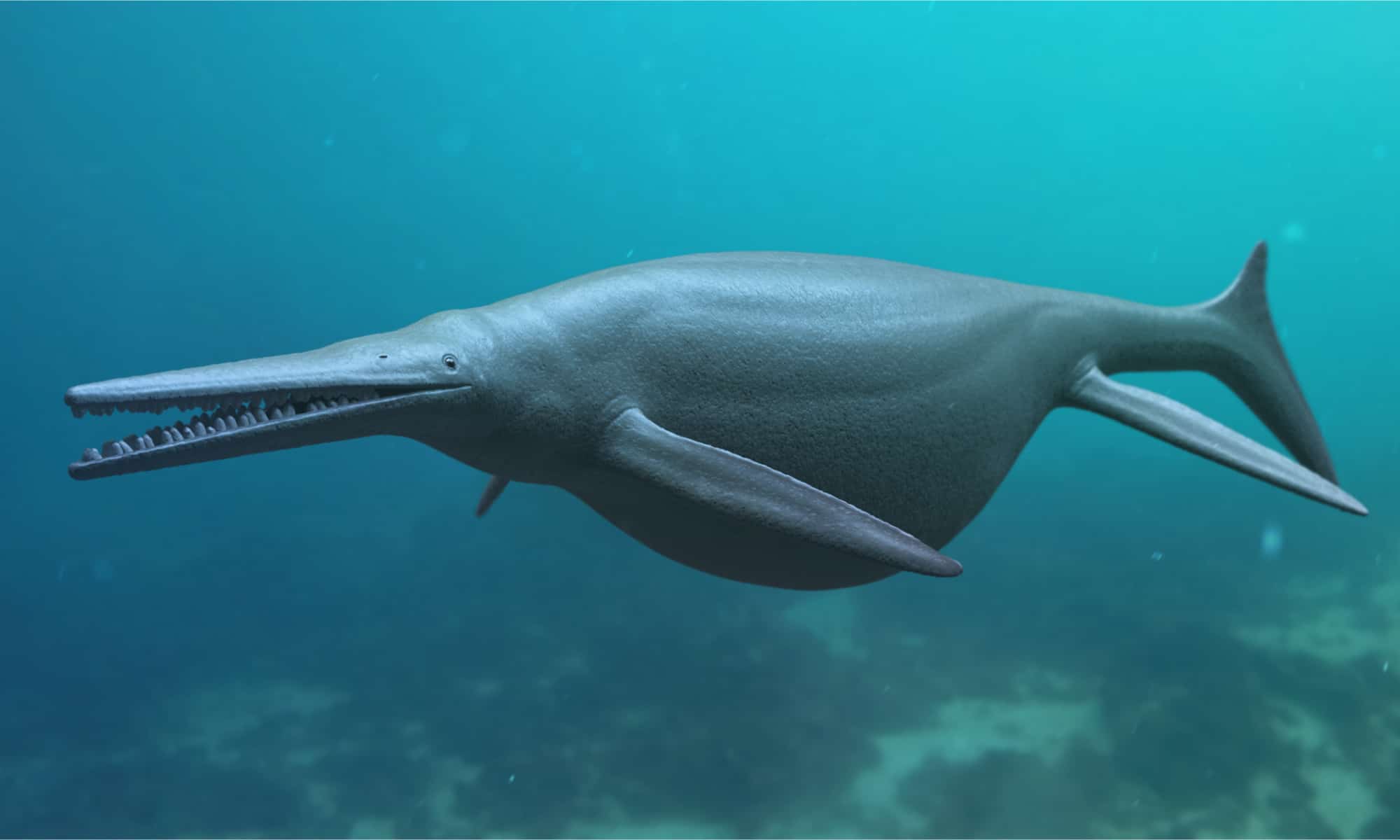 Giant Ichthyosaurus 3D Rendered