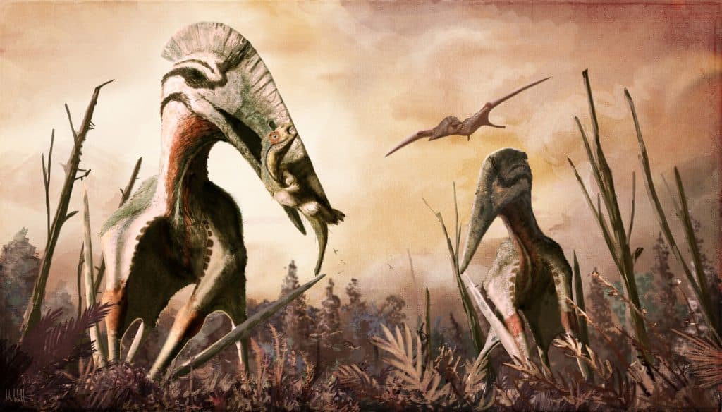 largest flying dinosaurs (pterosaurs)