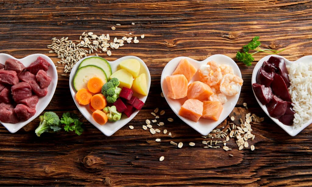 4 heart-shaped white bowls filled with dog-healthy ingredients