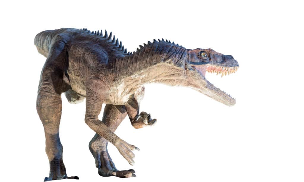 50+ Incredible Dinosaurs That Start With H - A-Z Animals