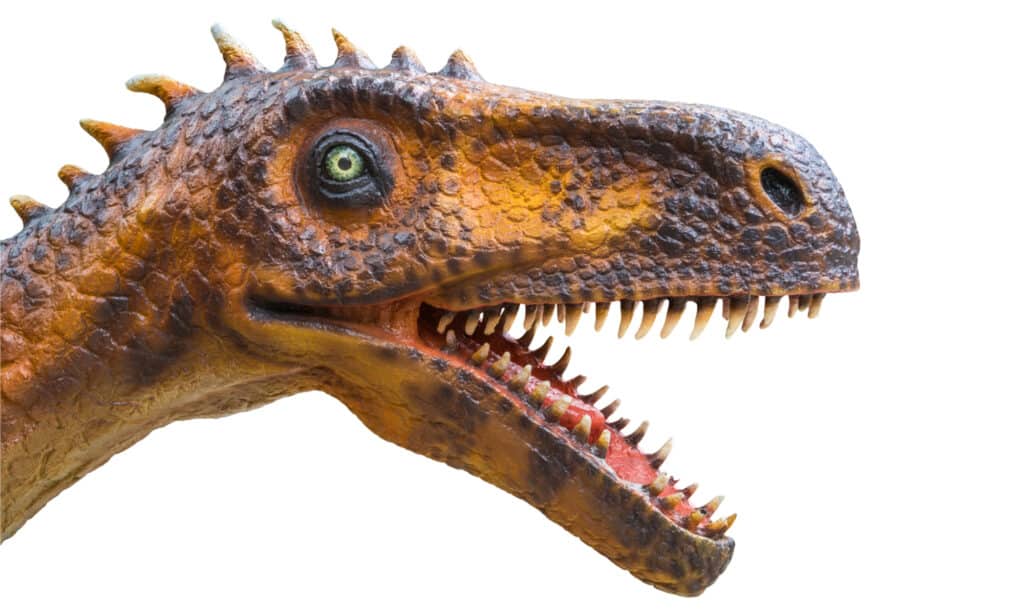 Herrerasaurus head shot 3D rendering on a white background