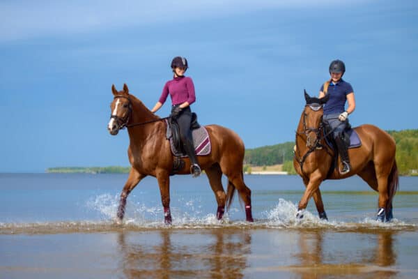 Girls riding a horse at the beach in early morning.