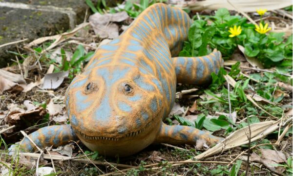Discover 6 Incredible Devonian Period Animals A Z Animals
