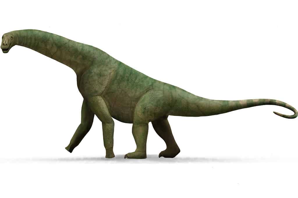 Isisaurus