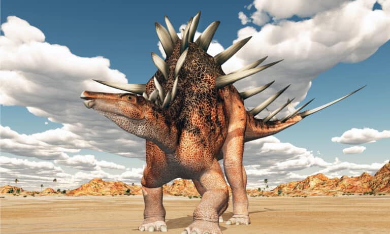 Kentrosaurus in ancient landscape.