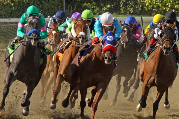 Jockeys storm down the homestretch in a claiming race.