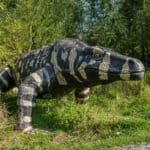 Megalania