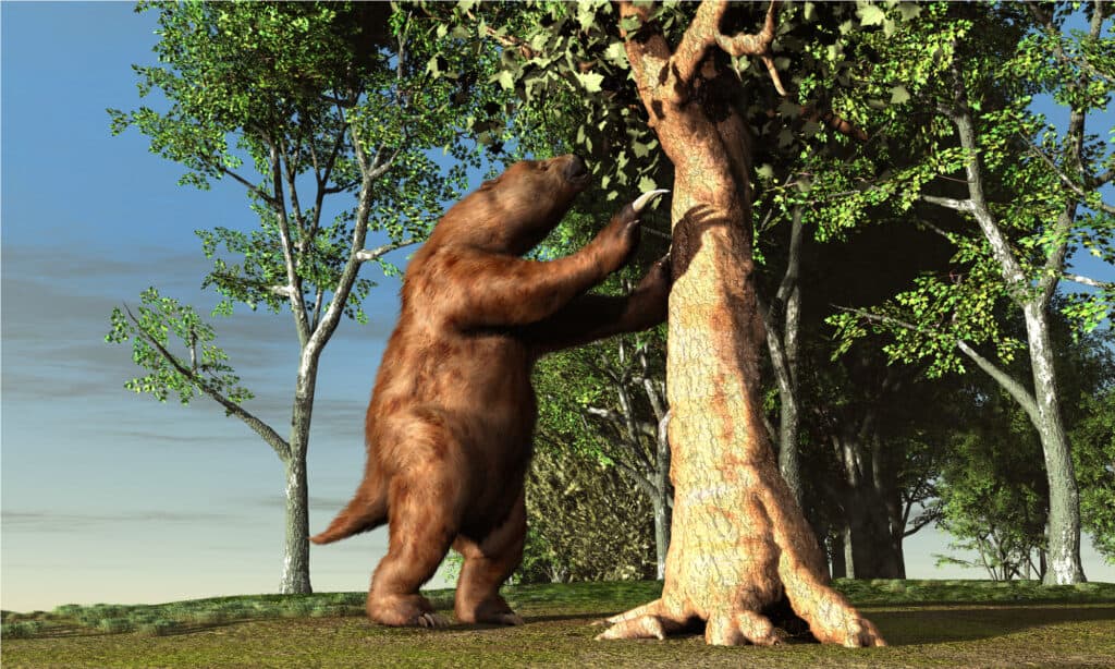 megatherium size