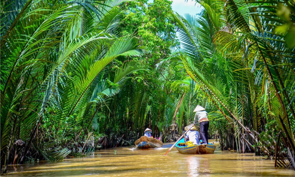The Mekong Delta 