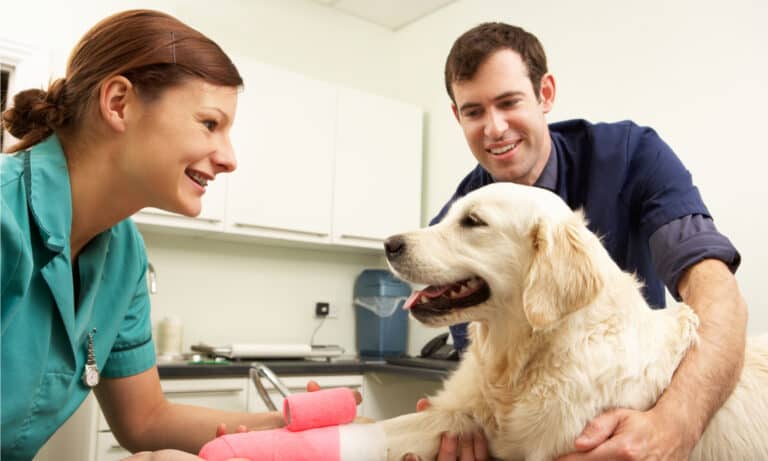 Nationwide Pet Insurance