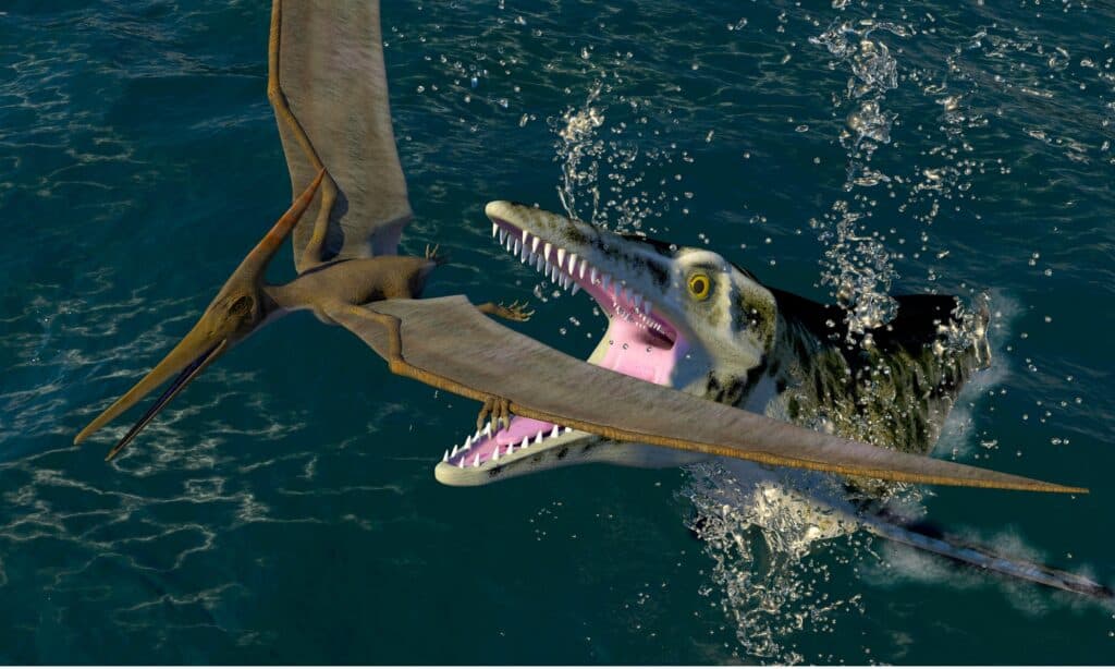 A Pteranodon being chased by a predatory sea dinosaur.