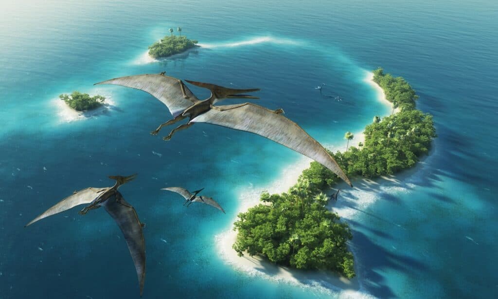 Pteranodon flying over a tropical island looking for fish and other prey.