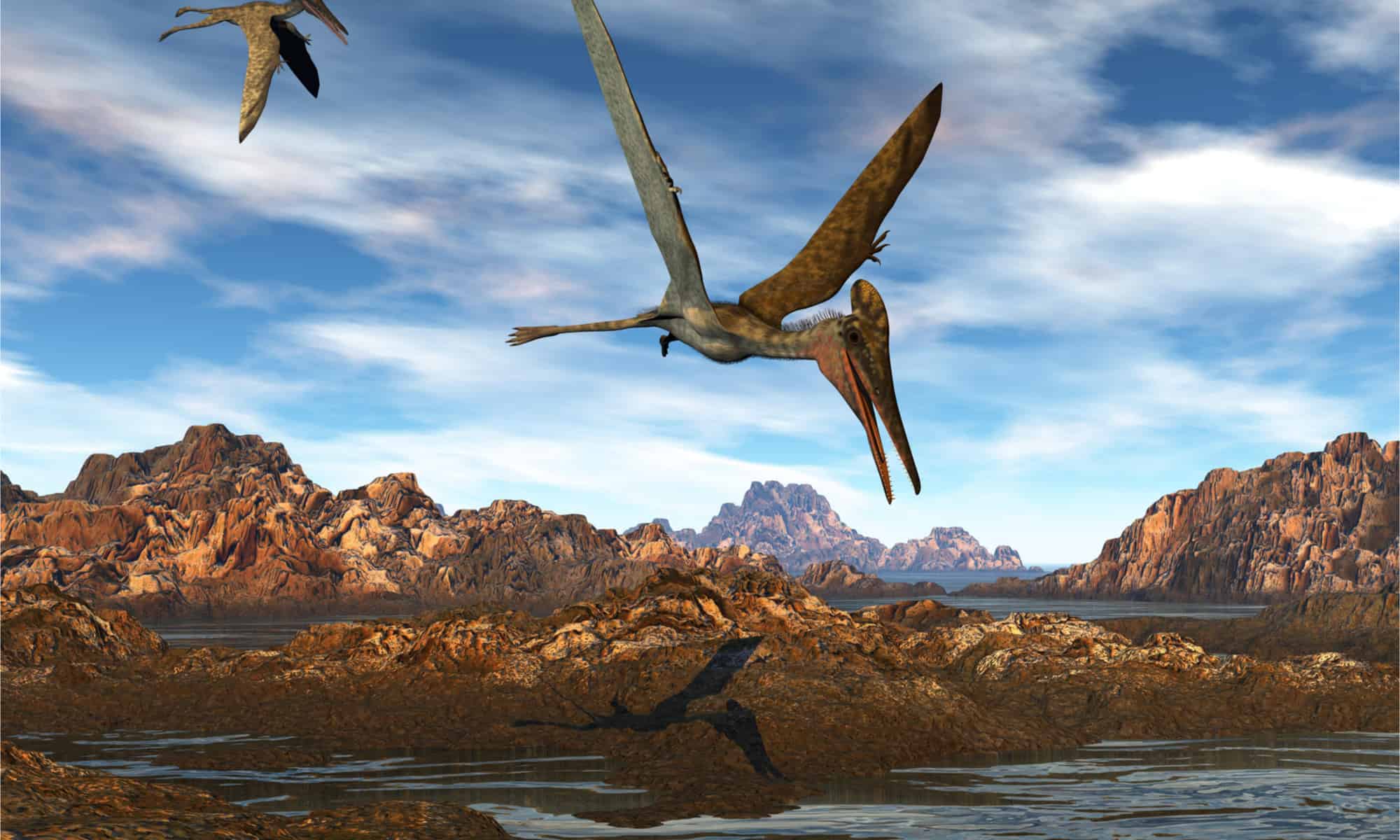 Illustration of Pterodactyls flying over water