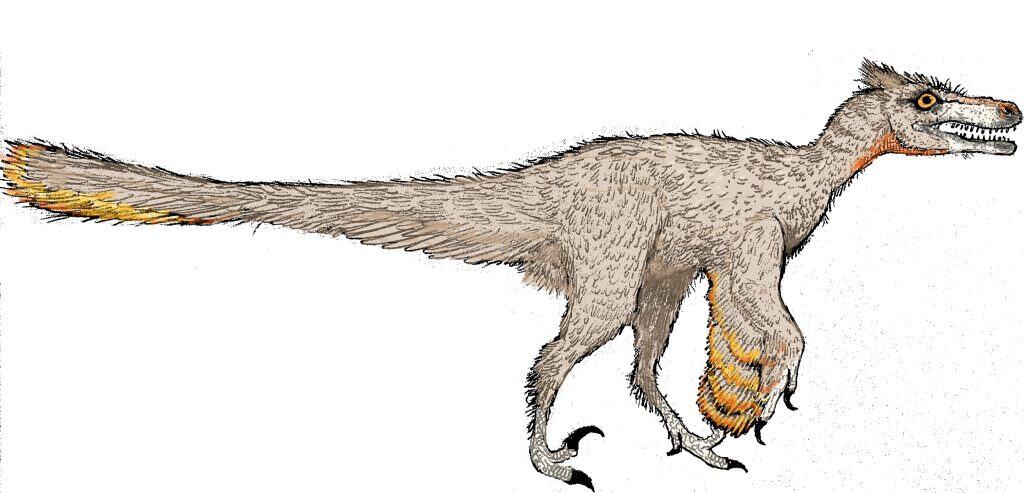 Restoration of Pyroraptor olympius. drawn on pencil, photographed, and coloured digitally.