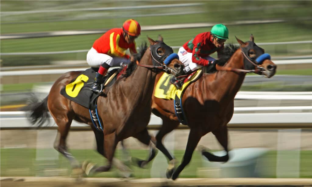 Racehorses are expensive due to several factors but mainly due to buyer's desires to breed these racehorses and produce race-winning offspring.