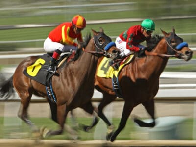 A The 15 Most Famous Race Horses Throughout History