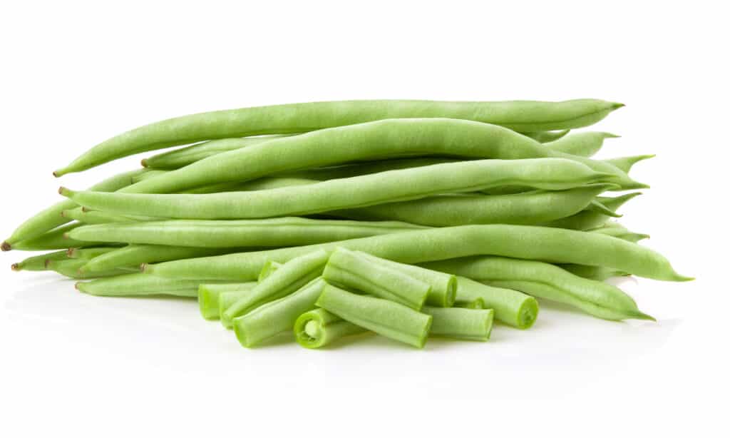 Raw green beans on white background