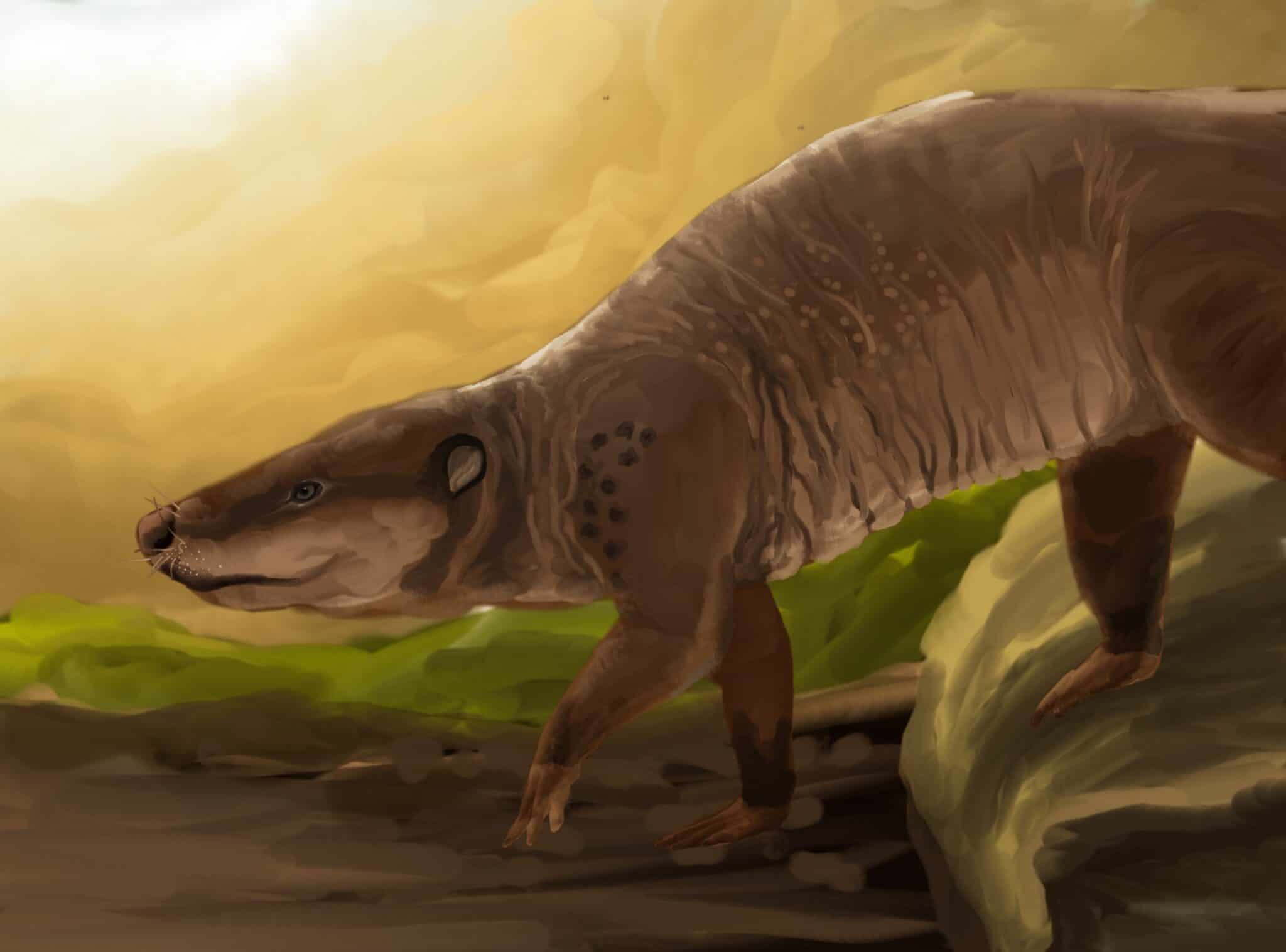 Gigantic Ancient Badger Now Believed to Feast on Dinosaurs AZ Animals