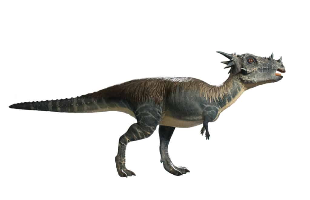 stygimoloch