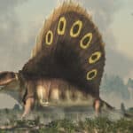 Dimetrodon