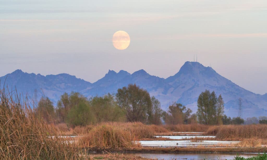 Sutter Buttes 