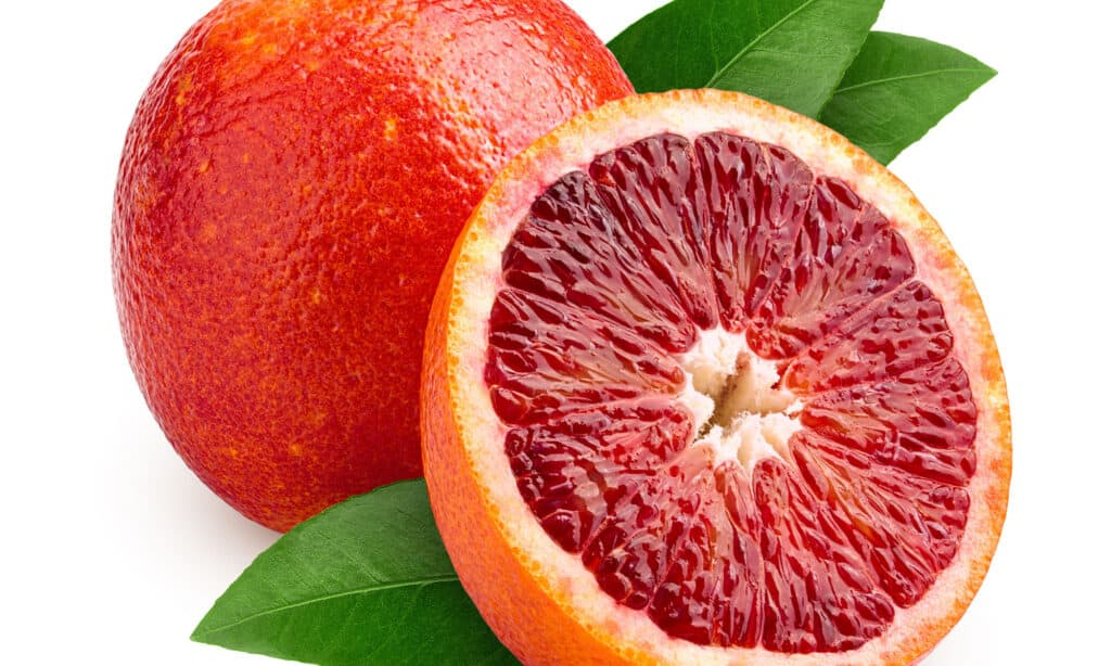 blood orange