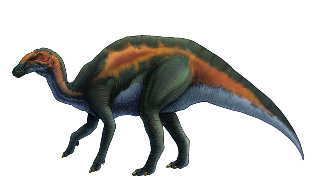 hadrosaurus