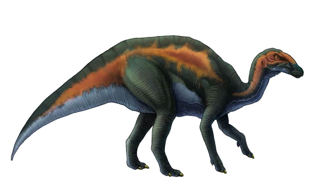 hadrosaurus